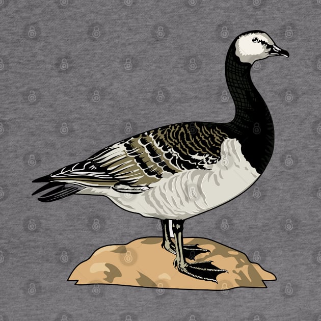 Barnacle Goose by Frajtgorski